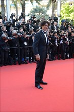 Tomer Sisley, Festival de Cannes 2013
