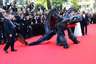 Equipe du film "Dragons 2", Festival de Cannes 2014