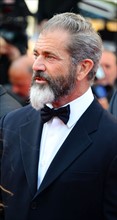 Mel Gibson, Fesctival de Cannes 2014