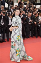Fan Bingbing, Festival de Cannes 2017