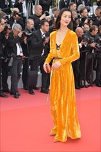 Liu Wen, 2018 Cannes Film Festival