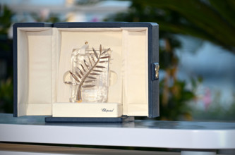 Coffret  contenant la Palme d'Or