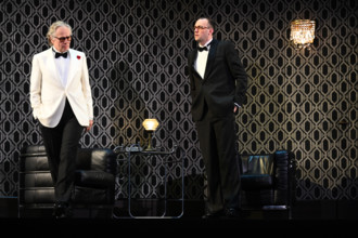 Festival d'Avignon IN 2025 : "Le canard sauvage"