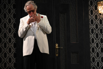 Festival d'Avignon IN 2025 : "Le canard sauvage"