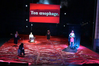 Festival d'Avignon IN 2026 : "Uma Luz Cordial"