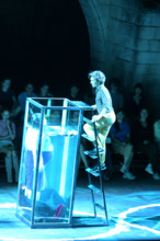 Festival d'Avignon IN 2026 : "MULJIL"