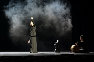 Festival d'Avignon IN 2026 : "Neige, neige, neige"