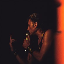 Johnny Hallyday en concert