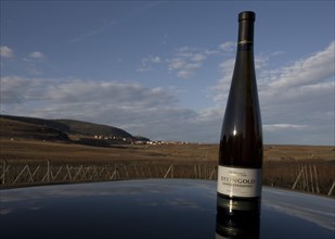 Vin de la Cave coopérative de Pfaffenheim (Alsace)