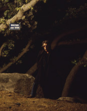 Jacques Dutronc