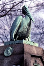 Pélican dans le cimetière du Père Lachaise à Paris