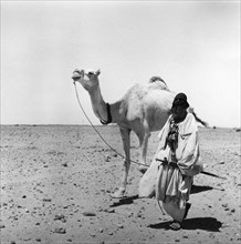 Touareg au Sahara, dans le désert du Hoggar