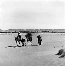 Paysage désertique près de Laghouat, en Algérie