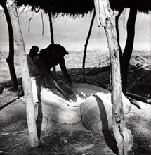Femme de l'ethnie Foulbé écrasant le mil, dans le nord du Cameroun