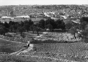Mont des Olivers à Jérusalem, en Palestine