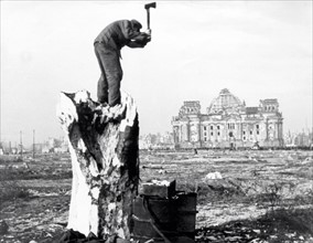 Après-guerre, le parc "Tiergarten" à Berlin, entièrement déboisé.
