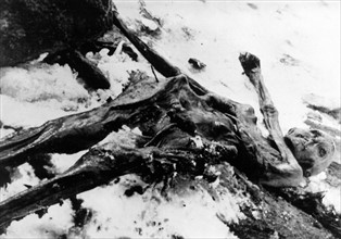 Ötzi, l'Homme de Similaun