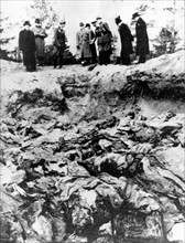 World War II. Mass grave in Katyn (1943)