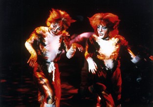 Musical comedy 'Cats'