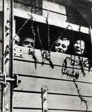 Jewish women tranported in a livestock wagon  towards a Nazi concentration camp