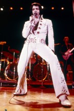 Elvis PRESLEY at a concert