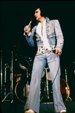 Elvis PRESLEY at a concert