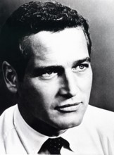 Paul NEWMAN, portrait