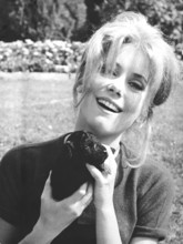 Catherine DENEUVE with puppies