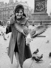 Claudia CARDINALE feeds pigeons in Trafalgar Square, London