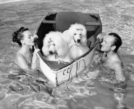 David NIVEN with his wife Hjordis and their two dogs