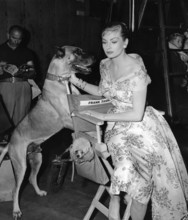 Anita EKBERG and Mr. Bascom filming 'Hollywood or Bust'