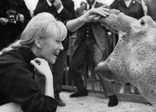 Karin BAAL baptizes a hippopotamus, 1965