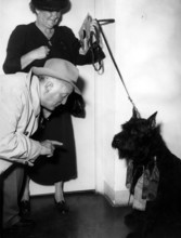 Hans ALBERS and the dog Saphir von Schwenzenhorst