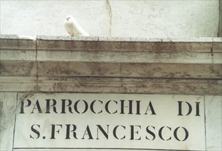 Detail of an inscription on a wall: St. Francis parish in Venice.