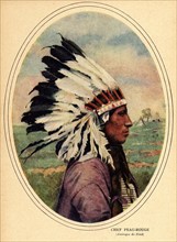 Native American Chief.