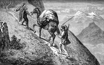 Chercheurs d'or gravissant une montagne, 1866