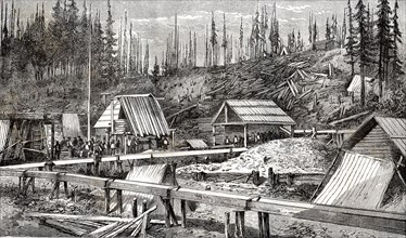 Gold mines of Cameron in Canada, 1866