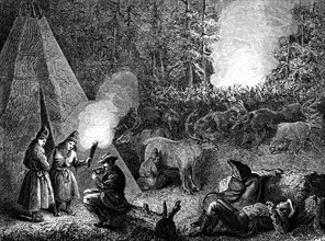 Forest camp in Sapmi, 19th century