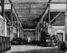 Cellar of the covered wine market in Paris, 1882