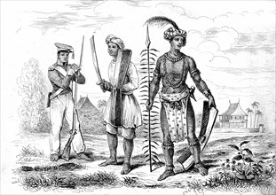 INDONESIE, ïles Célèbes (SULAWESI)-1834