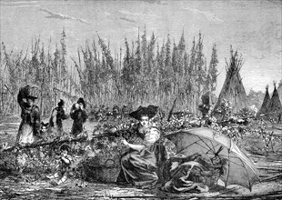 Récolte du houblon en Alsace en 1876