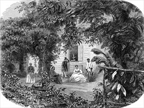 Saint Denis de La Réunion-1862