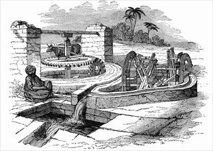 Irrigation system in Egypt in 19th century