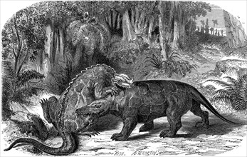 An iguanodon fighting a megalosaurus