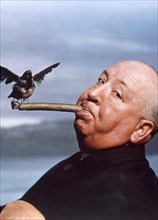 AA9FM7 ALFRED HITCHCOCK promotional picture for his film THE BIRDS in 1963. Image shot 1963. Exact