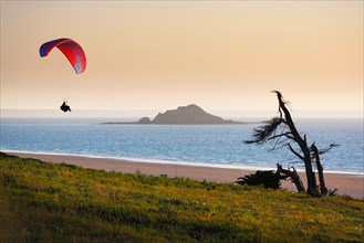 Solitary paraglider during sunset at shore side