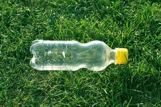 plastic bottle left on grass