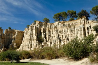 Hoodoos or Fairy Chimneys & Eroded or Weathered Formations known as 'Les Orgues'  Ille-sur-TÃªt or Ille sur Tet France