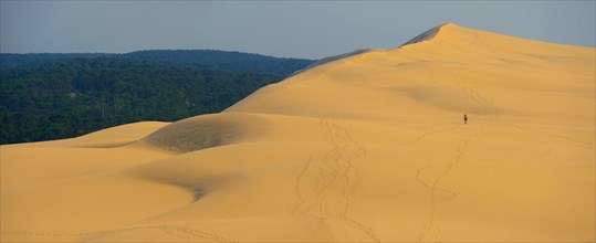 Dune of Pilat, tallest sand dune in Europe, France, Arcachon