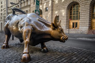 Wall Street Charging Bull Sculpture at Lower Manhattan - New York, USA